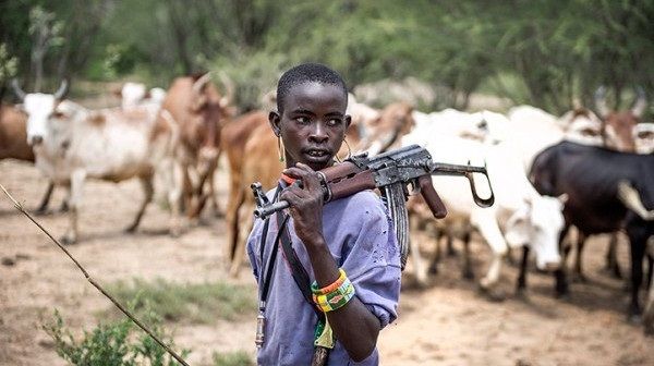 Miyetti Allah to FG, 400 grazing reserves adequate to accommodate herders in Northern Nigeria